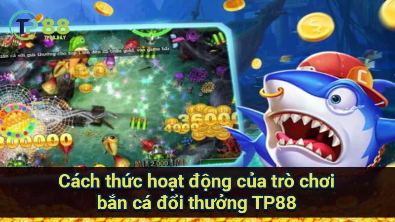 cach-thuc-hoat-dong-cua-tro-choi-ban-ca-doi-thuong-tp88