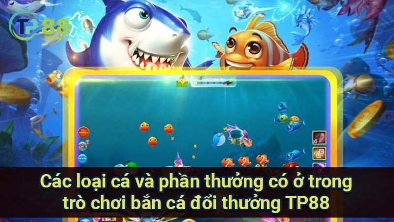 cac-loai-ca-va-phan-thuong-co-o-trong-tro-choi-ban-ca-doi-thuong-tp88