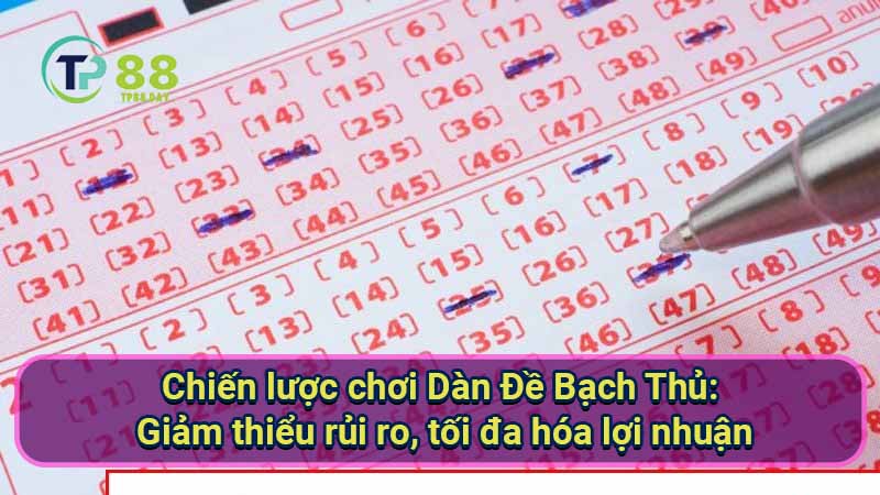 chien-luoc-choi-dan-de-bach-thu:-giam-thieu-rui-ro-toi-da-hoa-loi-nhuan