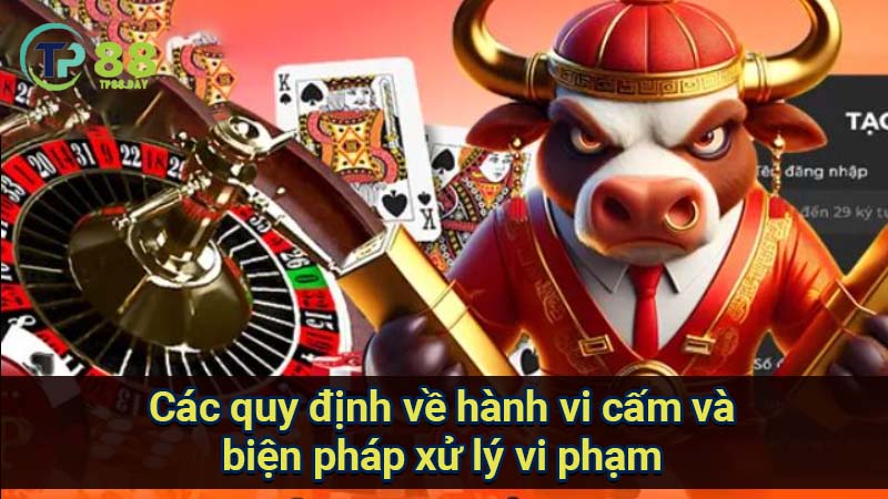 cac-quy-dinh-ve-hanh-vi-cam-va-bien-phap-xu-ly-vi-pham