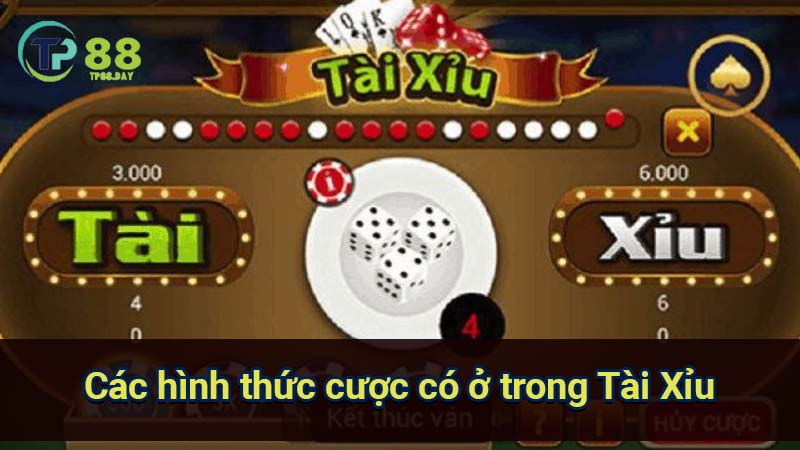 cac-hinh-thuc-cuoc-co-o-trong-tai-xiu